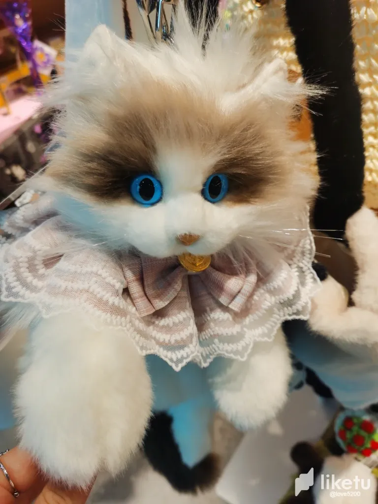 z5eHLKBedWJ97ix6_2.webp