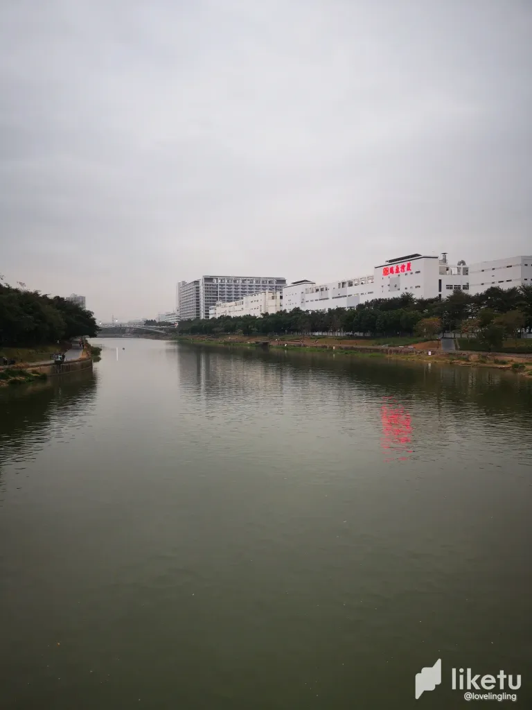 clriclzj60047t4szd5ihbcr0_IMG_20240117_175413.webp