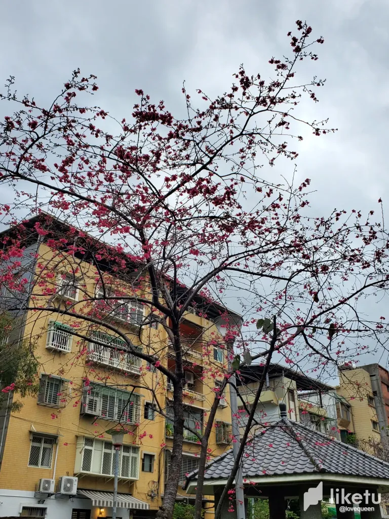 xsBcCiaOe9eohRZe_20250223_163751.webp