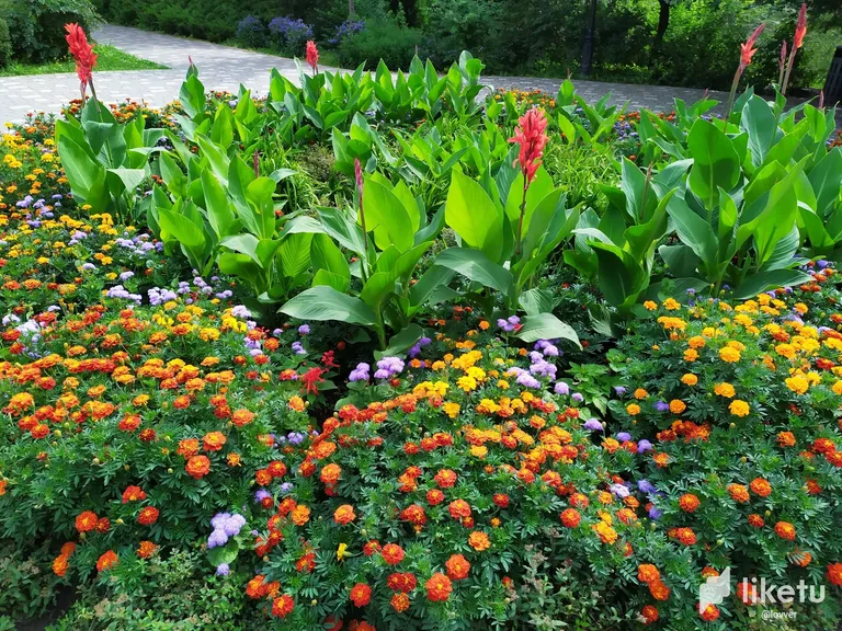 clkp0t8gn00nsbnszakr2cgyw_IMG_20230729_104128.webp