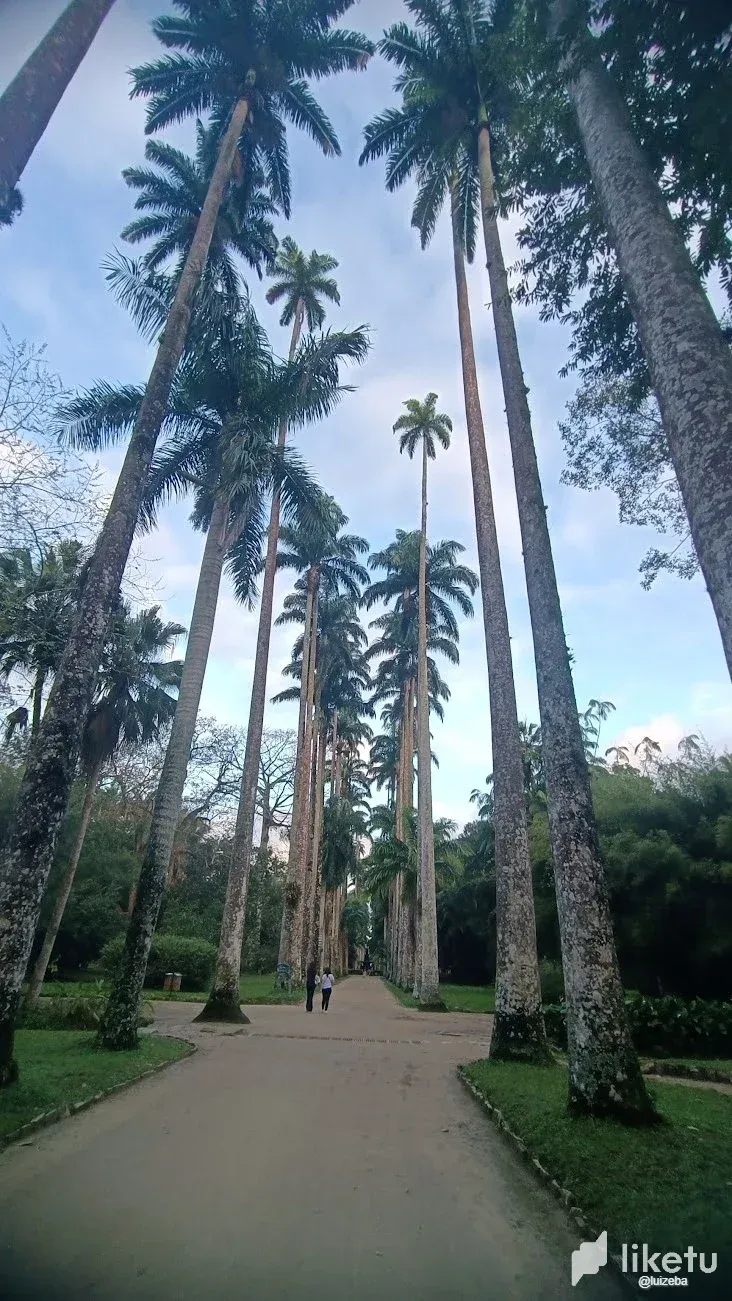 [EN / PT-BR] Rio de Janeiro Botanical Garden