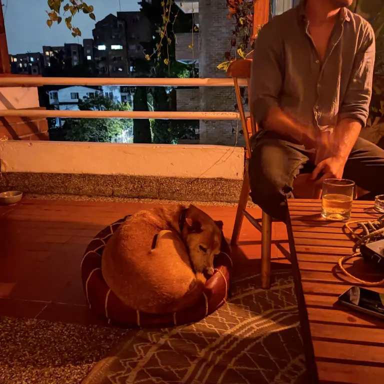 8eXmcvWcYvSuzYUc_IMG_20250508_161156.webp