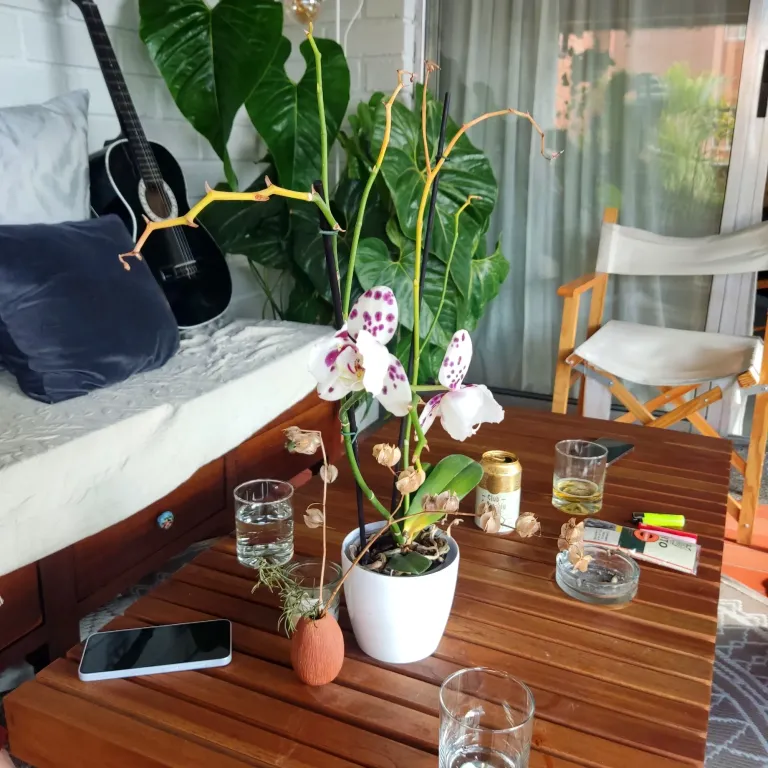UgWOCGVooUOLxXY8_IMG_20250502_173912.webp