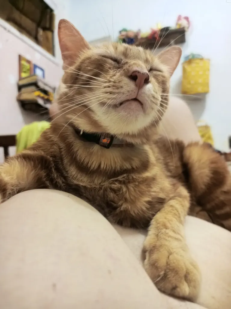 8g3liOYxgdD1ngtS_IMG_20250422_231742_880.webp