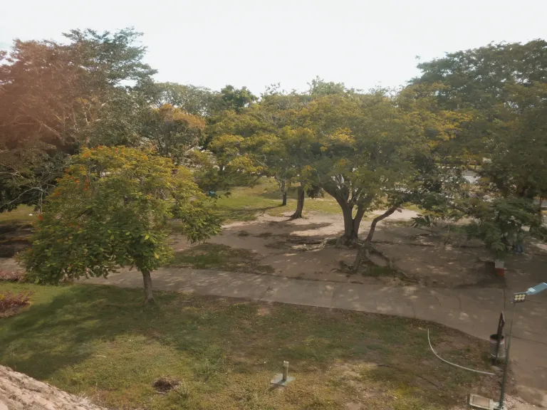 kISR0D9vL07xcPOO_P1320762_1.webp
