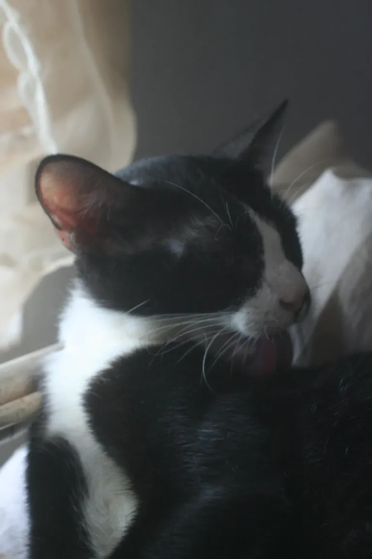 rZhKxHjXdo0uFg3o_IMG_9481.webp