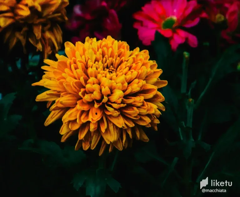 cl8smdkoh031v14kceykf9li1_DSC09260.webp