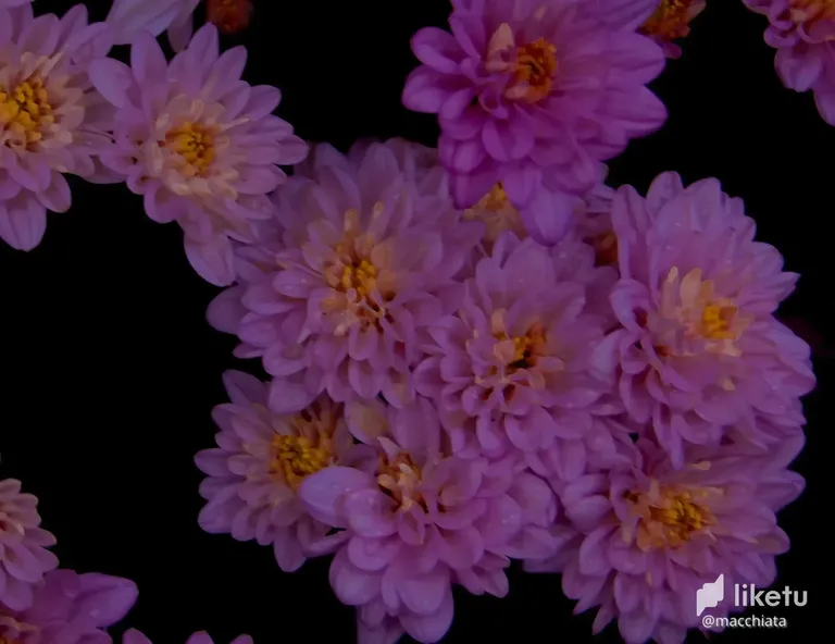 cl8smdtqe031x0vkc0mhhgbje_DSC09270.webp