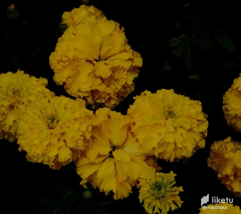 cl8smf0lr030p1skc1yc420af_DSC09264.webp