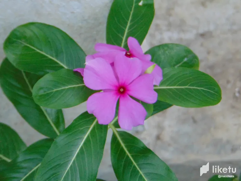 clpfbaa2j001j6rsz85n4f43p_DSC04423.webp