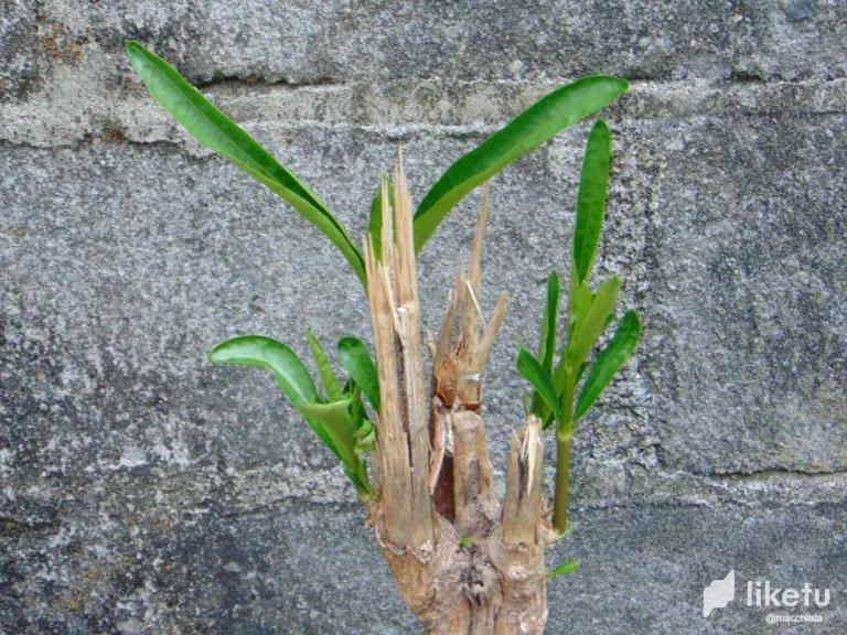 clpfbakuw003p6yszcja9b9xn_DSC04424.webp