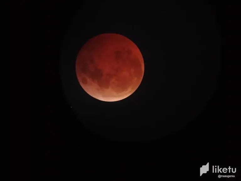 ZUgKzNGgLCnKqkd0_3.webp