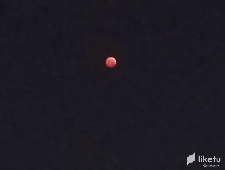 nQi2KsKSq8hbqrFG_2.webp