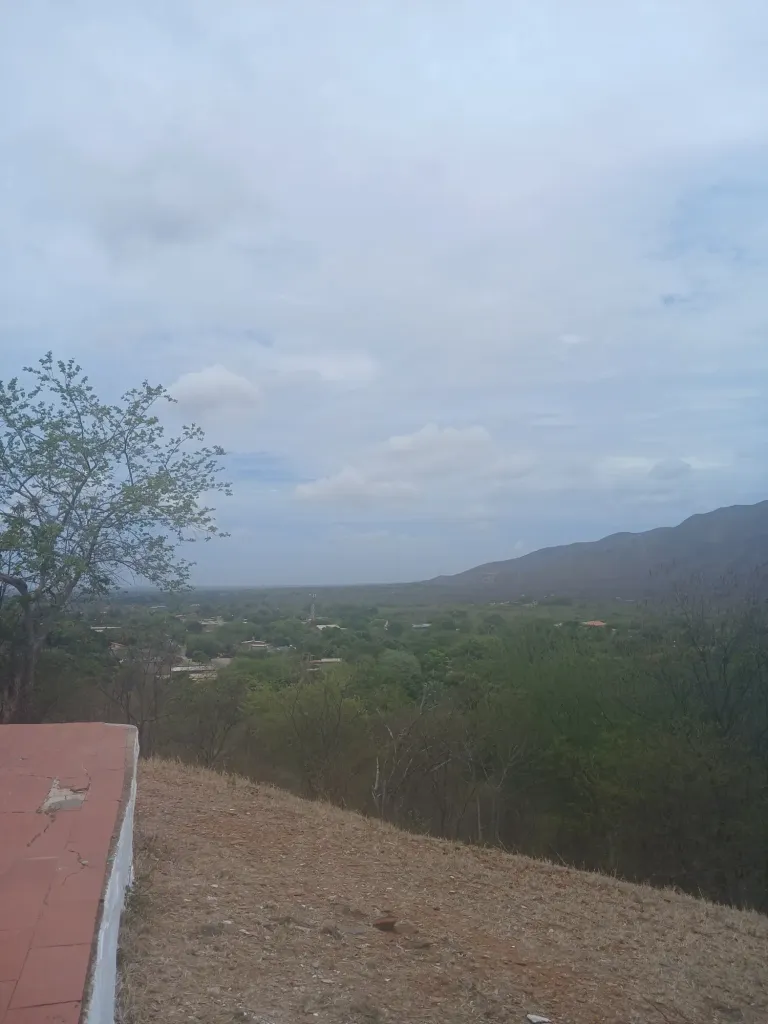 R55JnjJbVpCmejdf_20250516_114651.webp