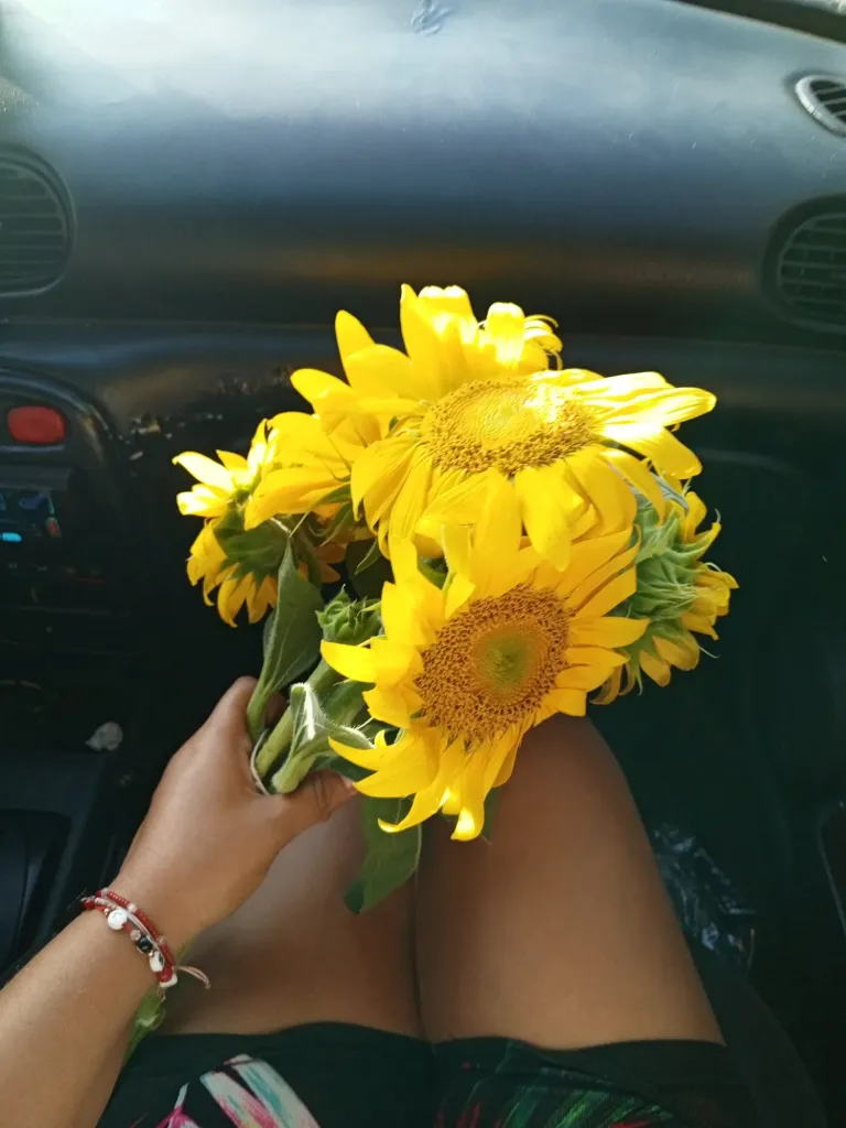 HUnC6XRDWNwLgWsy_IMG_20250505_172112_872.webp