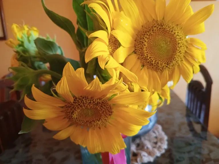 SqXvwYYfnh7arkEn_IMG_20250505_173830_468.webp