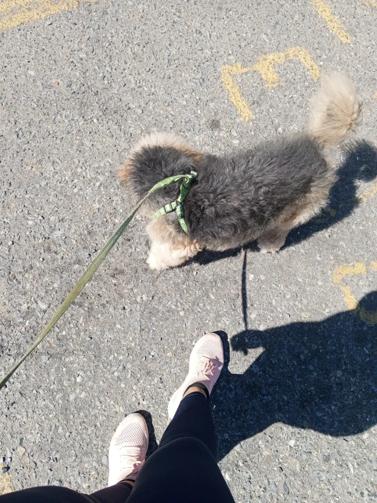 cZHZHCoulpeEbLYH_IMG_20250119_104819_583.webp