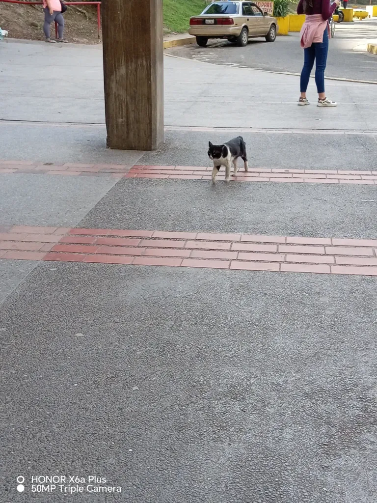 NpNZfVDnu4pXhrj1_1000274414.webp