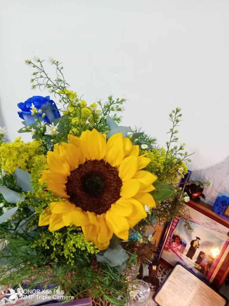 VV2ahxlCQWAl739I_1000571865.webp