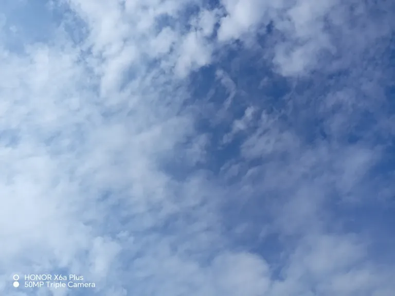 i9Nx29QkCQkRPcXC_1000505580.webp