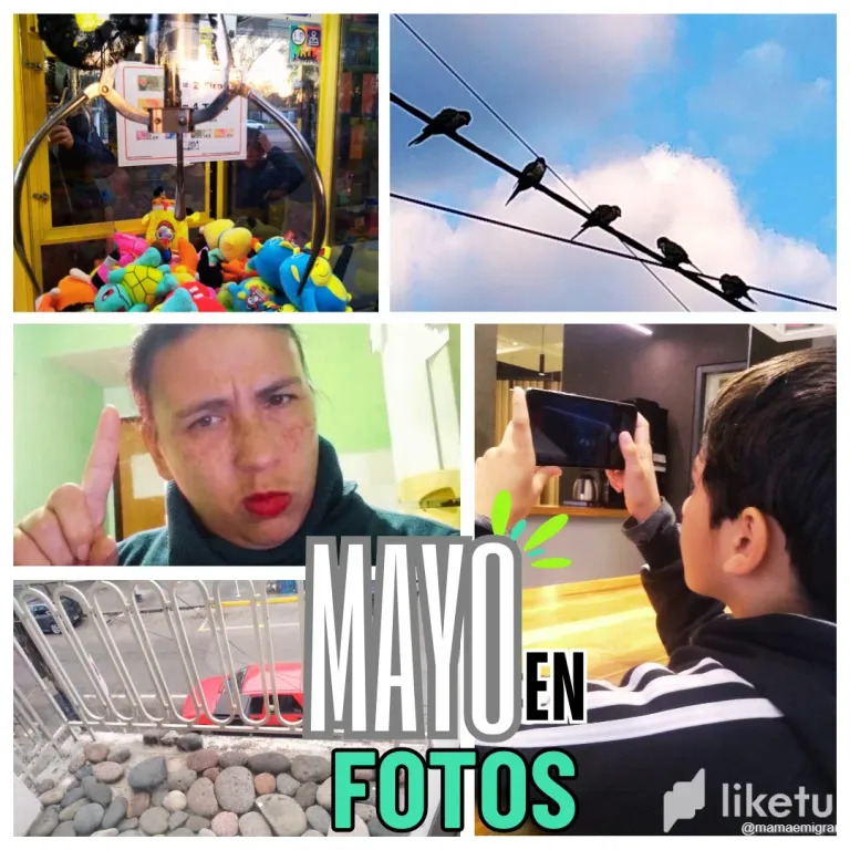 clwzctu3q00lv7tszckctbdcx_mayo.webp
