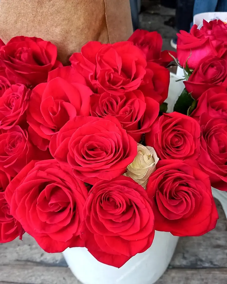 89678cW8tGQVxd6g_-1_orig-48.webp