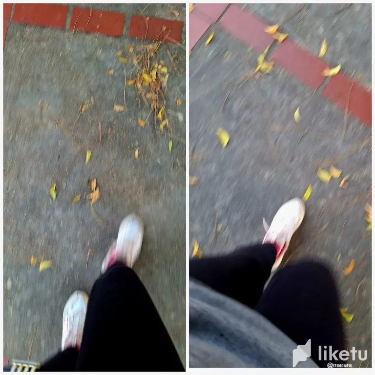 b38HJt7iatfWJlQz_20241003_123205.webp