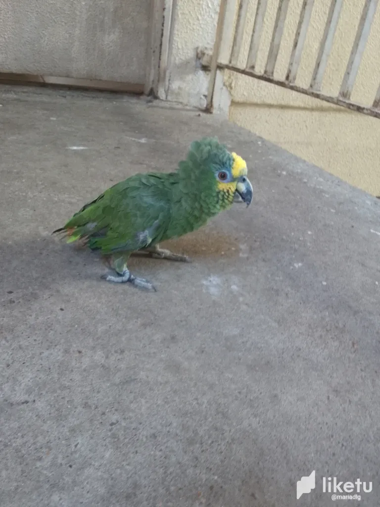 cltrpjyru000rf8sz3l8u3gow_IMG_20240312_095756_959.webp