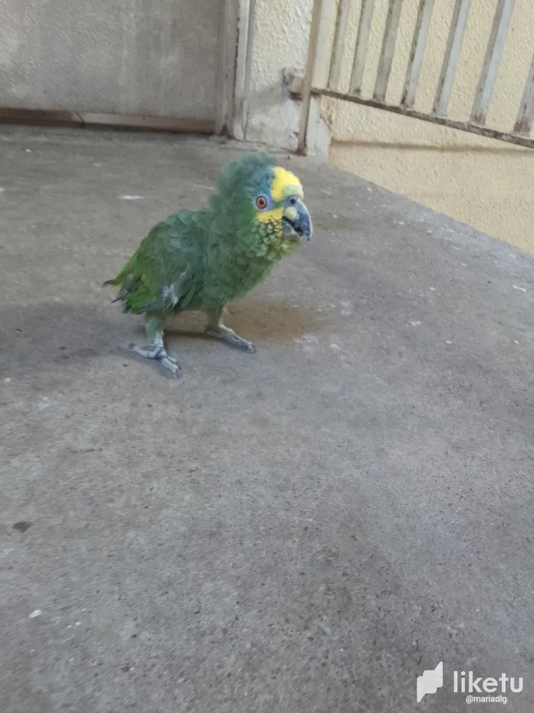 cltrpl7qv000bxksz2r0zh8st_IMG_20240312_095755_984.webp