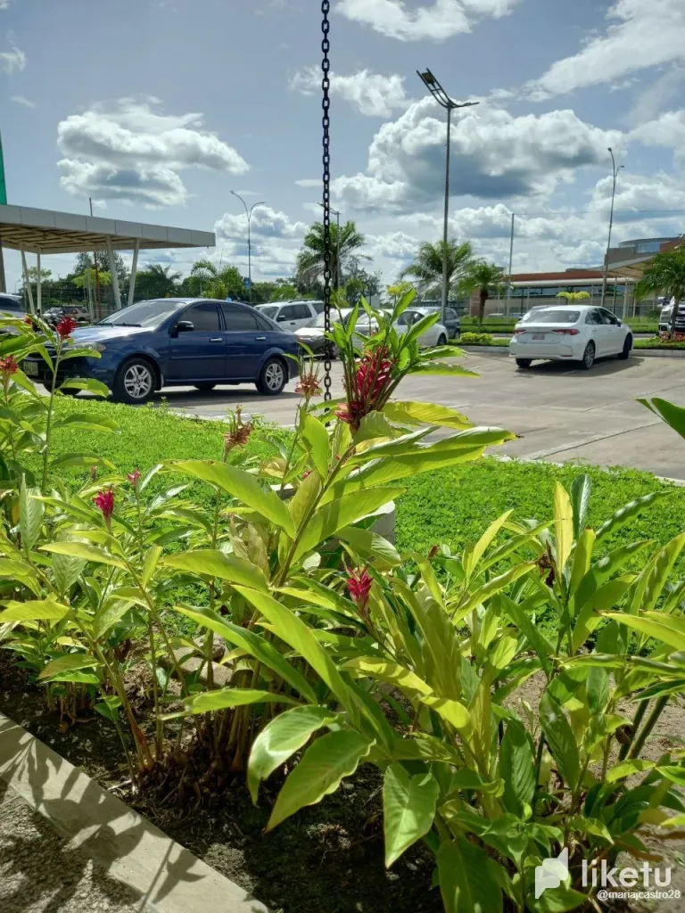 92qrSIInjgNxhgVF_3.webp