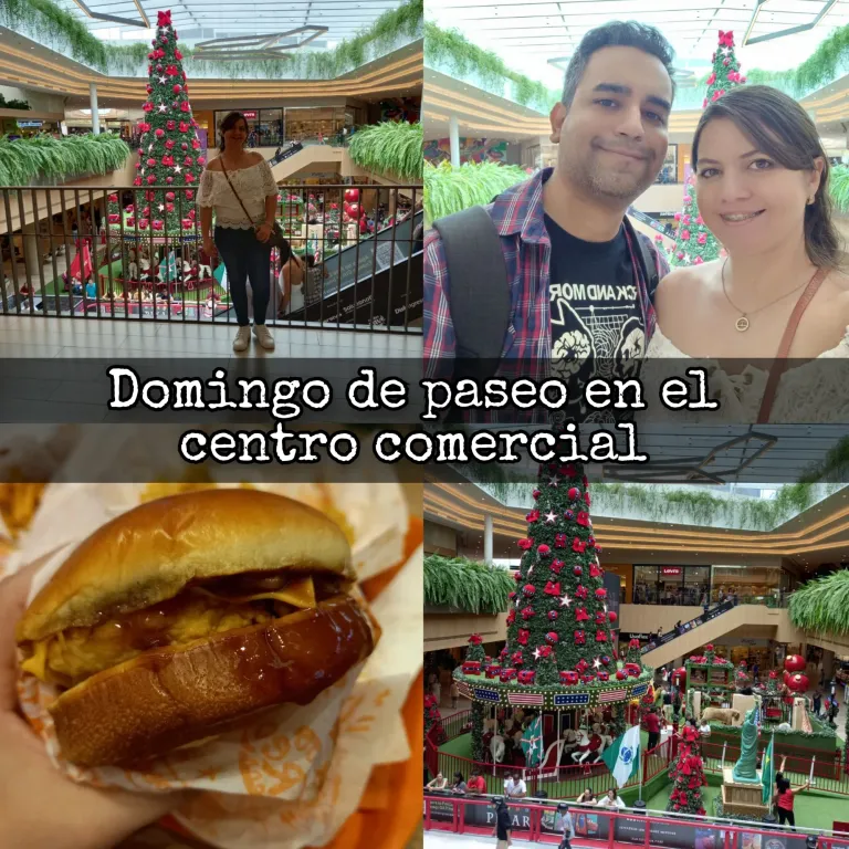 Np2pr5nlyfCbuu4i_InCollage_20241228_190906911.webp