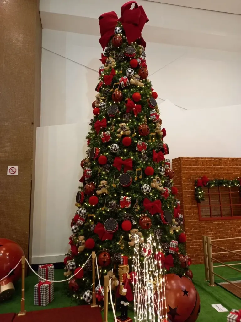 X6yxCHsKuqmfWwP3_IMG_20250107_182652_346.webp