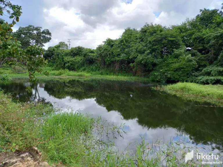 ZhrOjuOtOAW9HOWa_5.webp