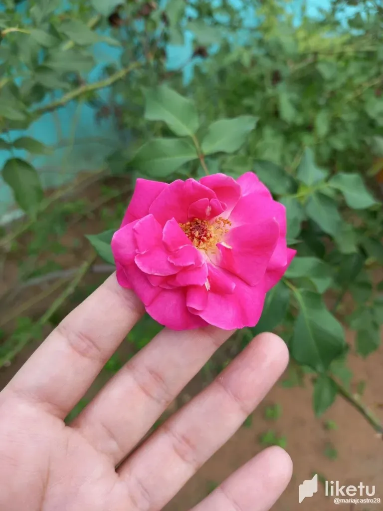 clhgn00lj002gbqsz5uaffenc_2.webp