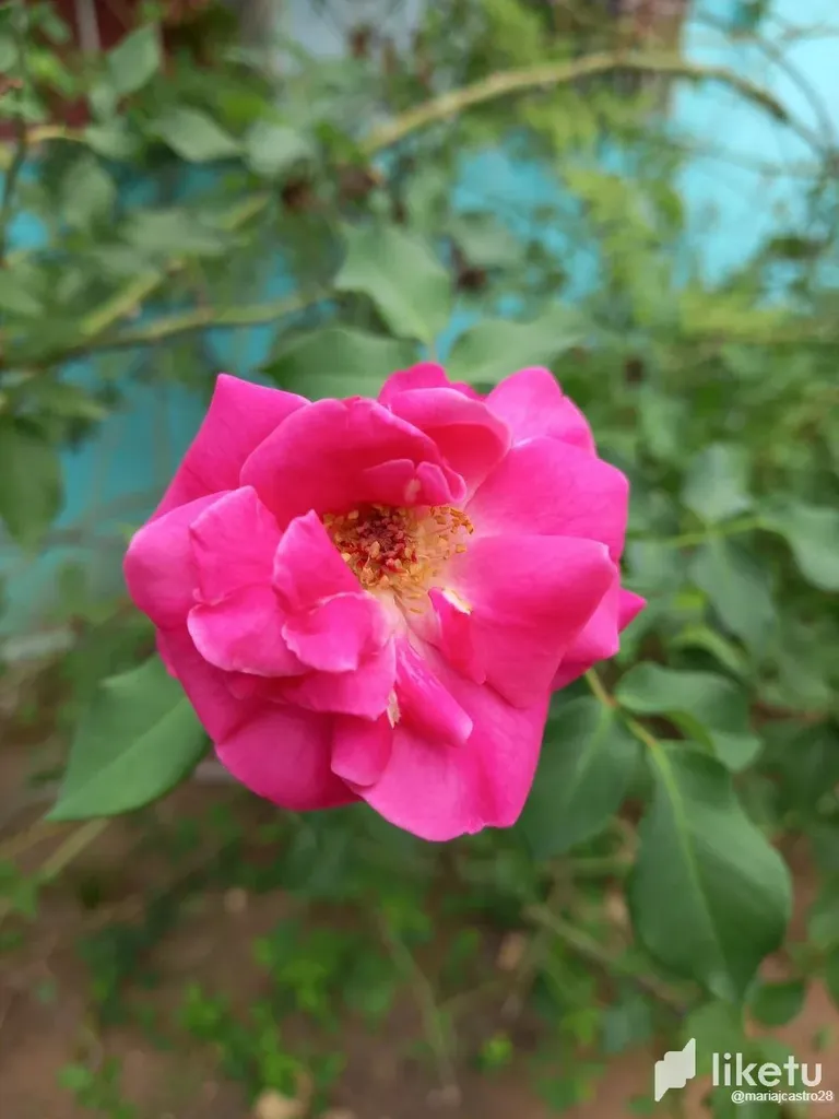 clhgn0n1f00205hsz0agnaexp_3.webp