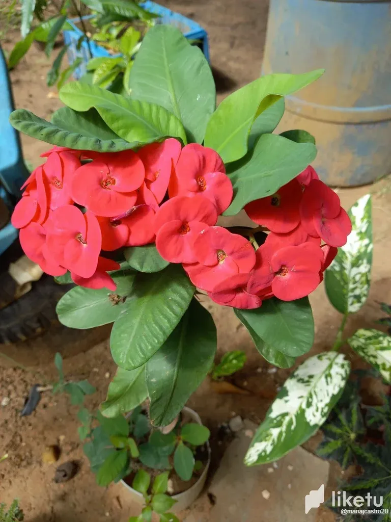 clhgn3k8i001t22sz8t326wr6_10.webp