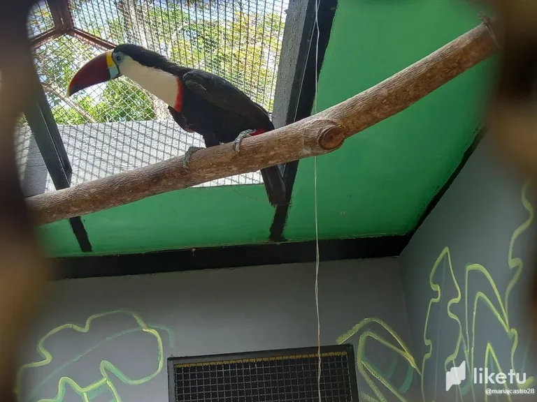 cljyzsjy202jc8osz74ae1cgk_6.webp