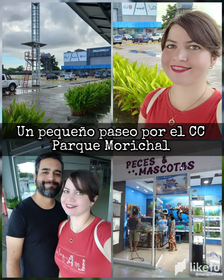 clrphq2kv01ubkgsz1qzdcjy4_InCollage_20240122_174903180.webp