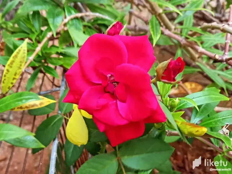 clwmnpx8z00go8rszfe7a8ipl_8.webp