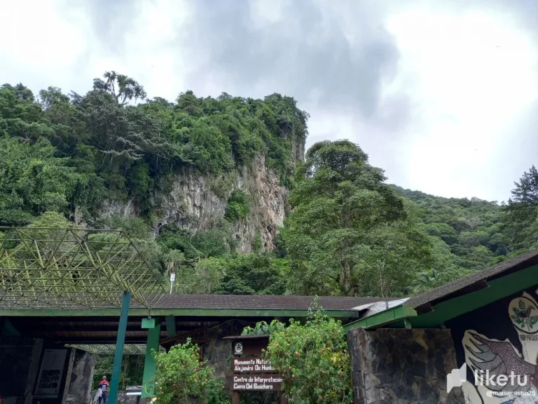 emaRRnIna5HzS9HF_10.webp