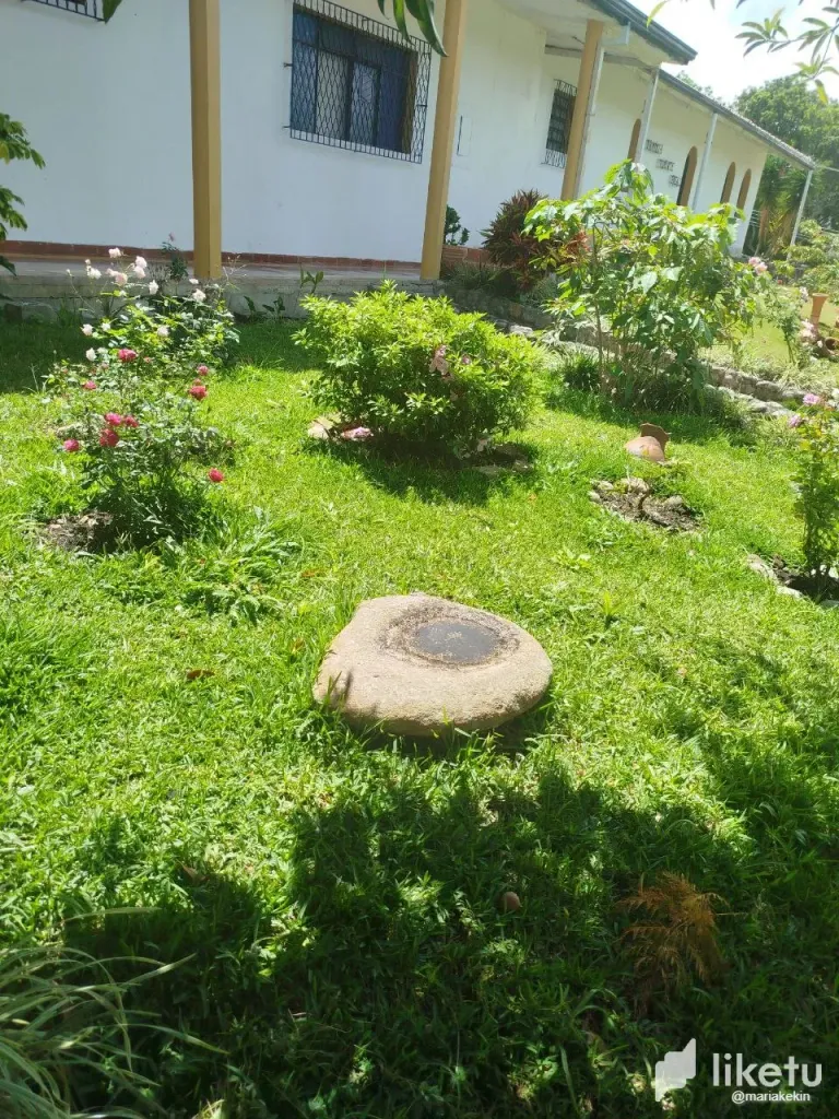 0RXeDe4c3lOOrRdu_photo_2025-05-28_10-34-12.webp