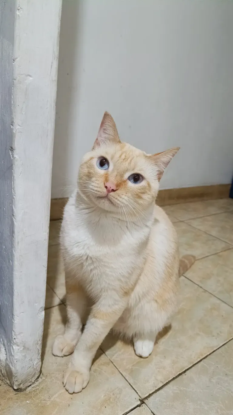 H0XFBjf0xPJdzdrQ_1000412816.webp