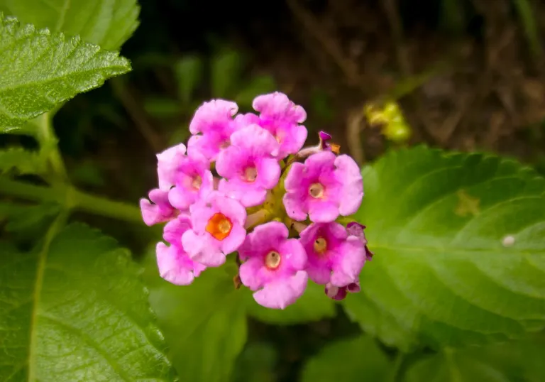 AtB7Cmz4ihA10a0o_DSCF3276.webp