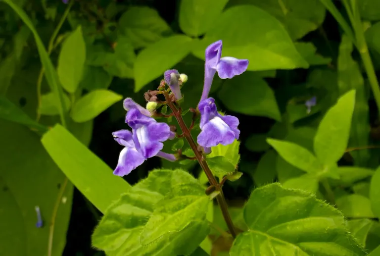 DPj02bsGWheBwY3h_DSCF3291_1.webp