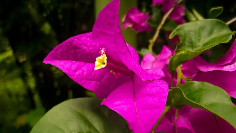dpUTMm8LpFGwSqhg_DSCF3263.webp