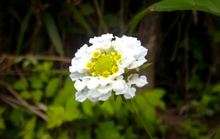 eMqkSjO1uTGC0tNl_DSCF3282.webp
