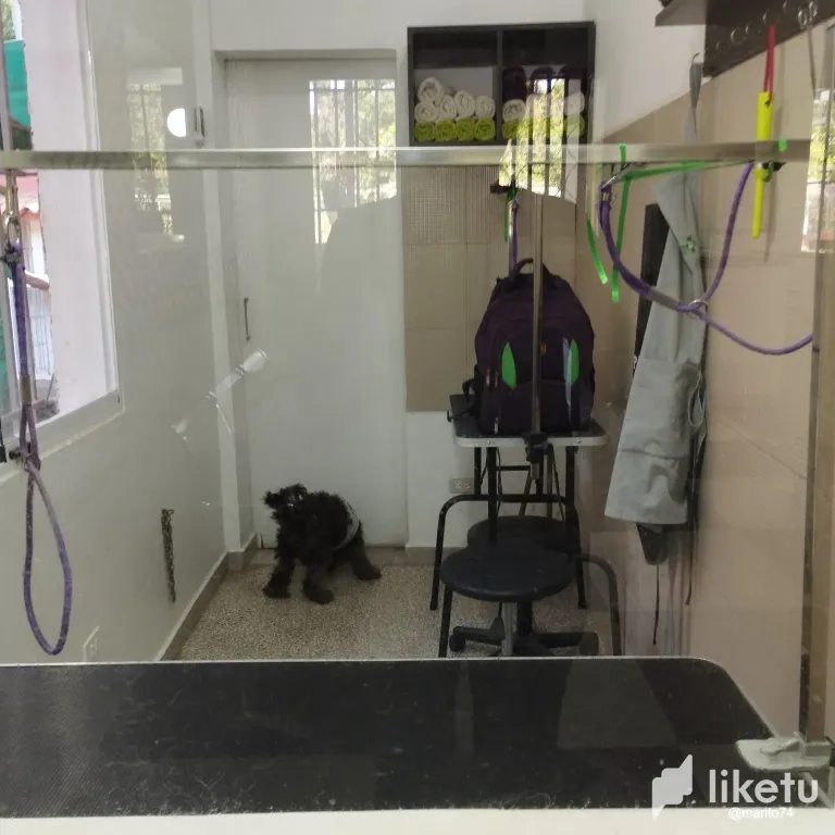 zMvXCvOjekEMvtD1_IMG_20250320_082311.webp