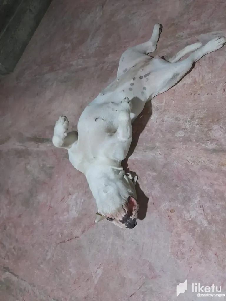 ONXT5OD4x50MlFAA_5.webp