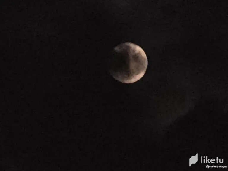 umNjdrxbHn7S1Jqf_2.webp