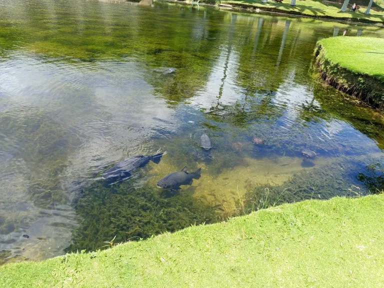 EnuVrhibg7aJhu7J_1000292560.jpg